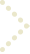 エッセンシャルライン画像
