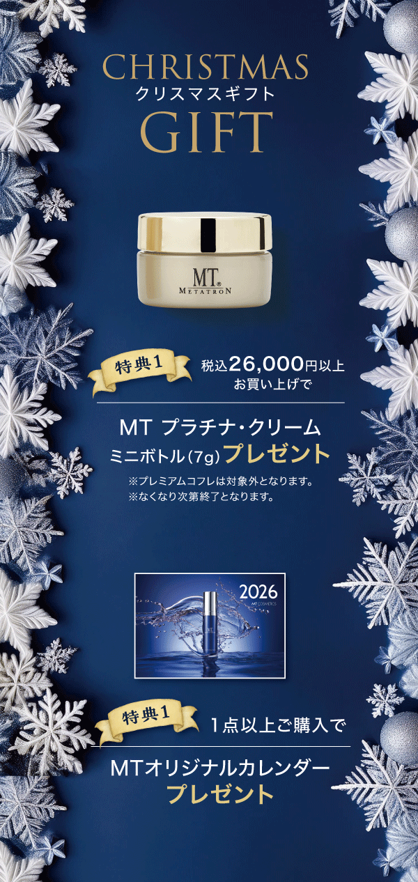 クリスマスギフト